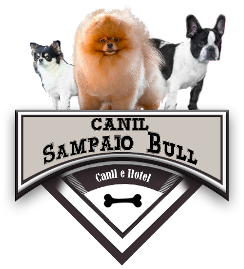 Sampaio Bull - Canil e Hotel